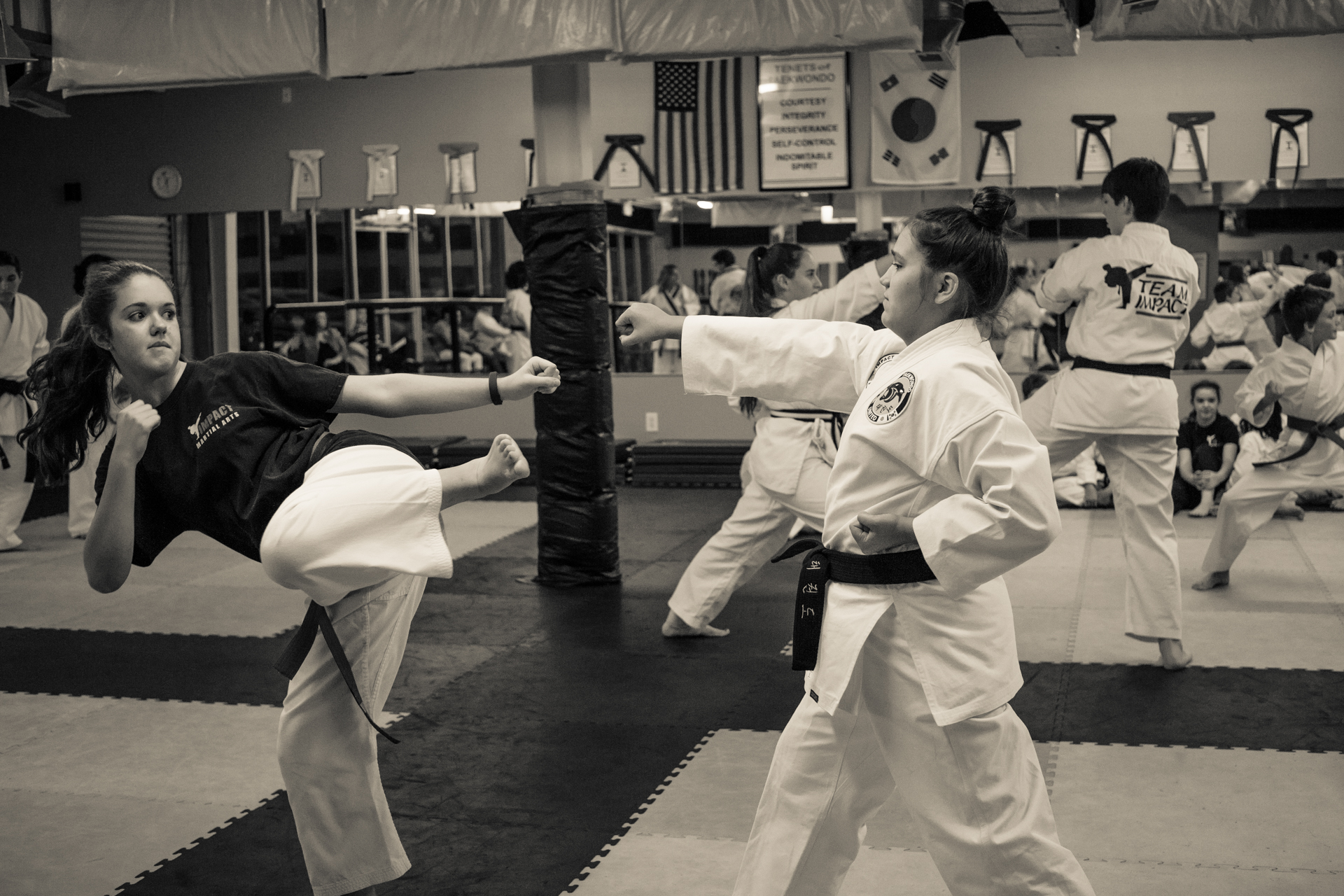 Girls Martial Arts Karate Taekwondo Self Defense Pelham AL